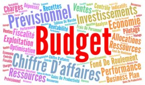 Entreprise : Analysez le budget et distribuez-le